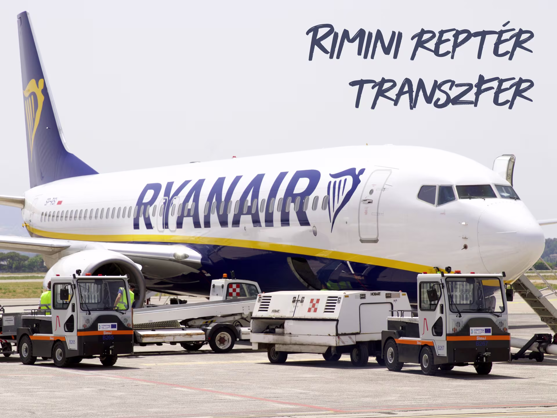 Reptér