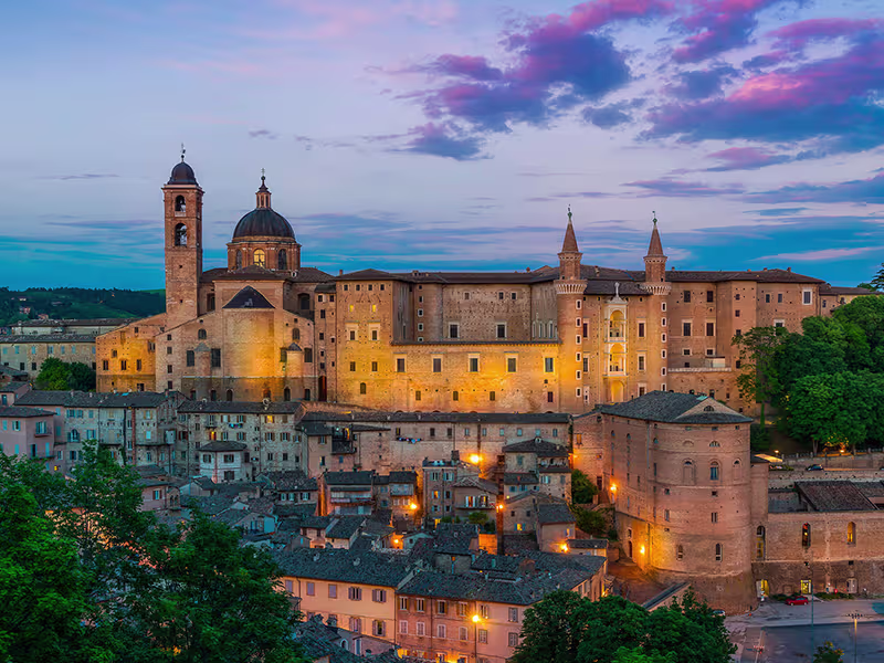 Urbino